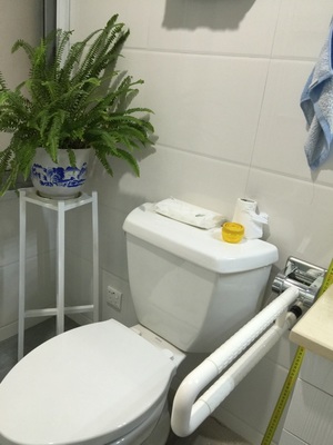 無(wú)障礙扶手+上翻.jpg